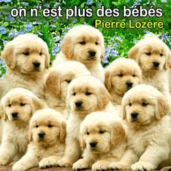 Cover of On n'est plus des bébés