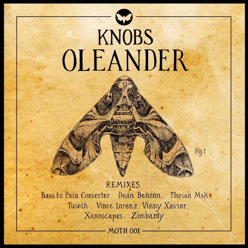 Picture of Oleander (Remixes)