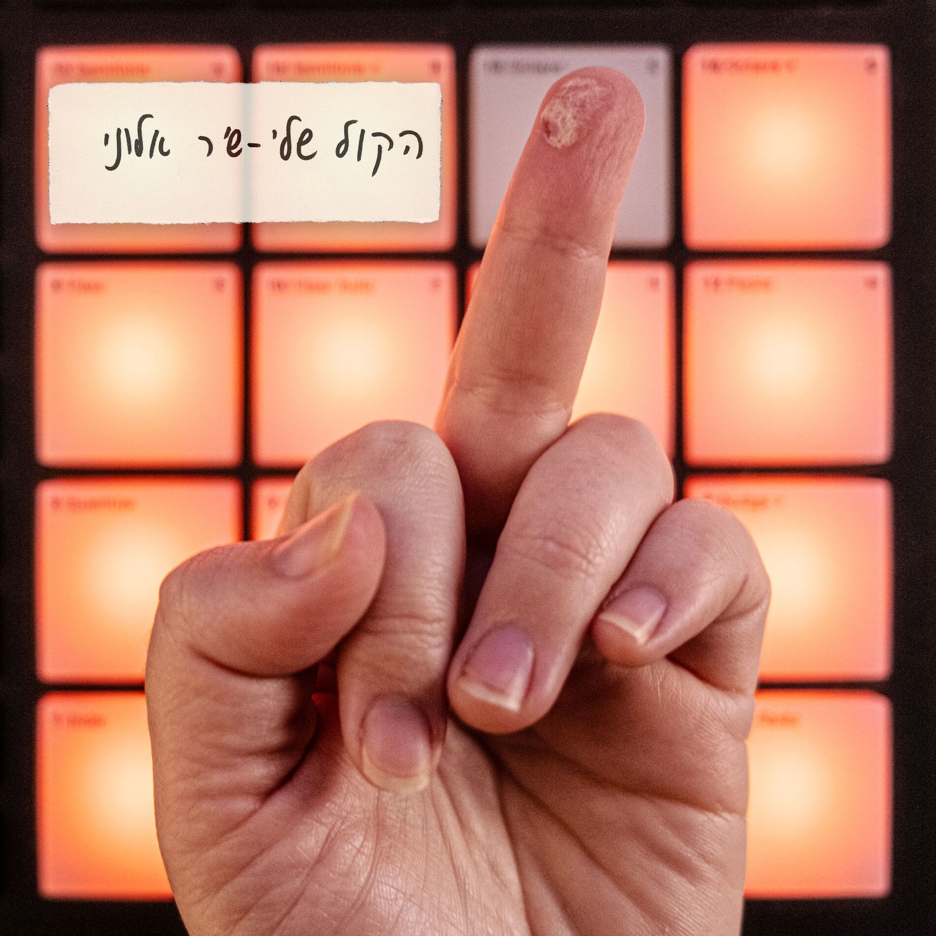 Album cover of הקול שלי