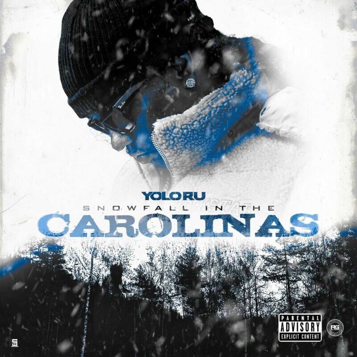 Album cover of Snowfall in the Carolinas