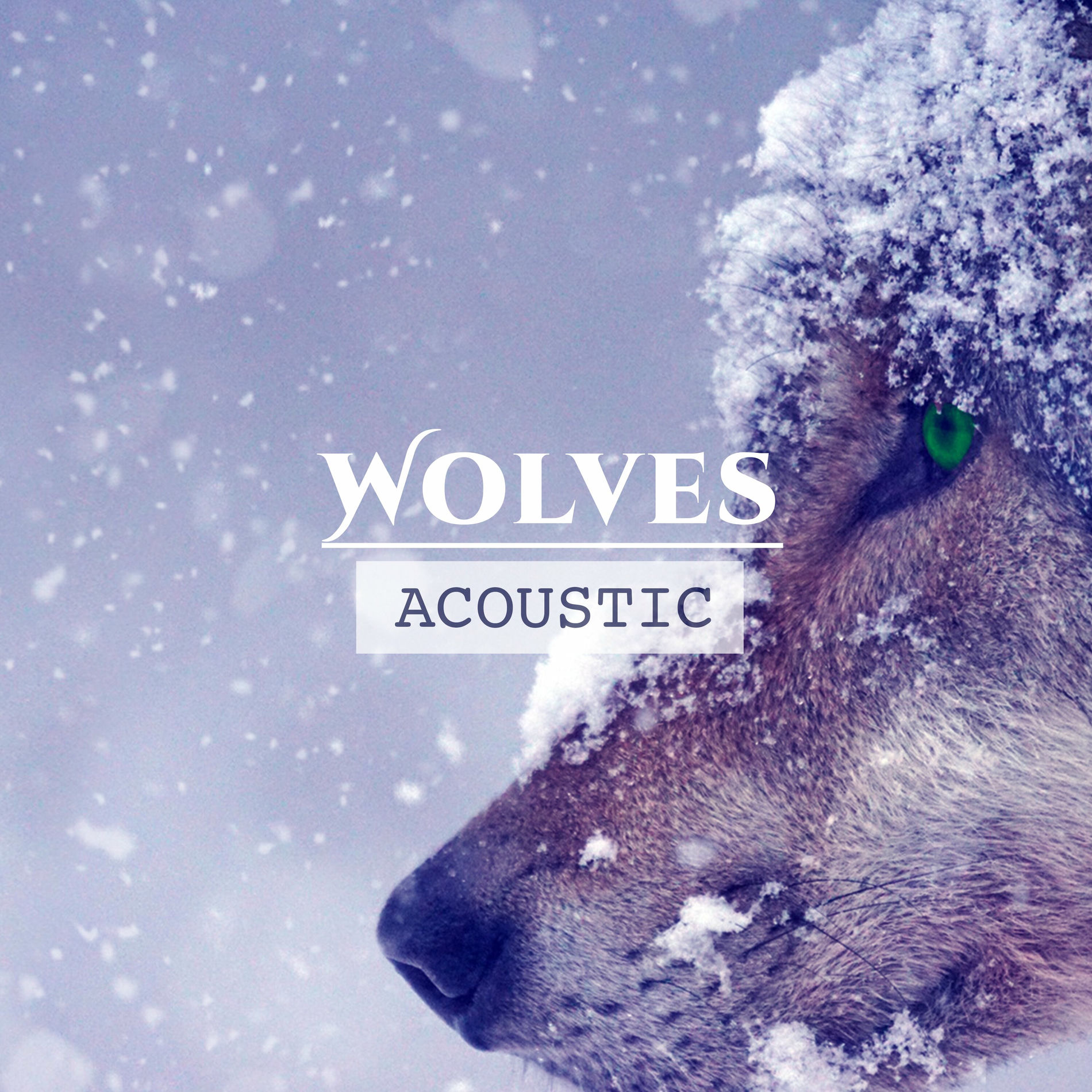 Album cover of Wolves