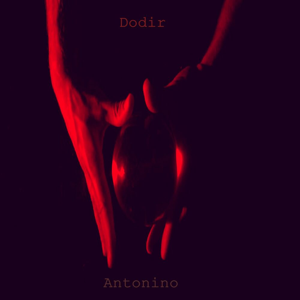 Picture of DODIR
