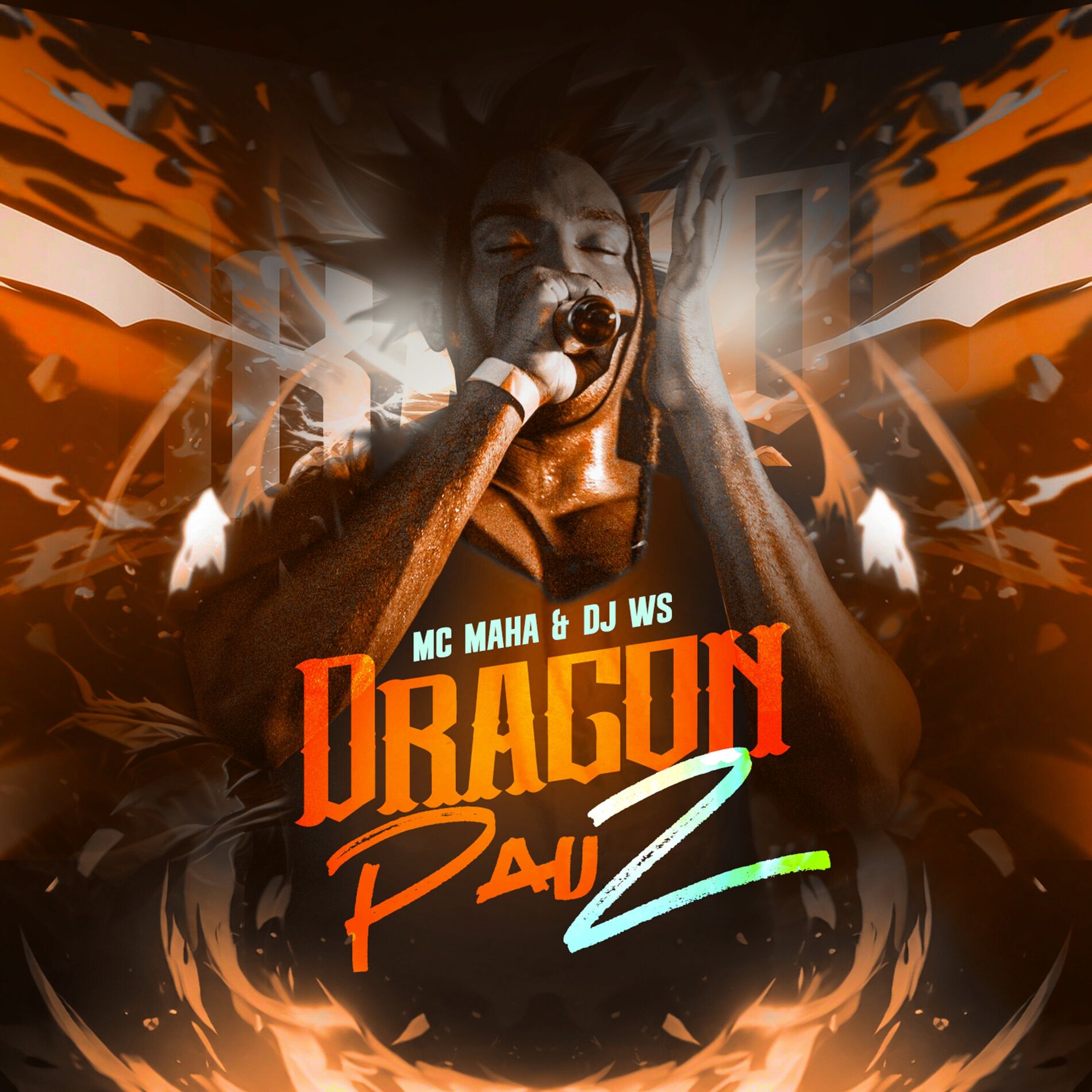 Album cover of Dragon Pau Z