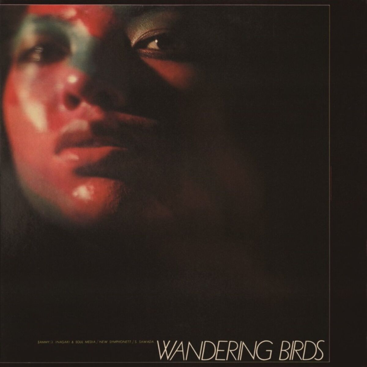 Album cover of Wandering Birds