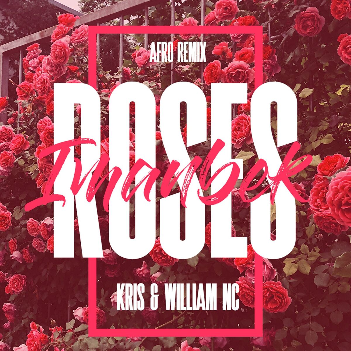 Album cover of Roses Imanbek (Afro Remix)