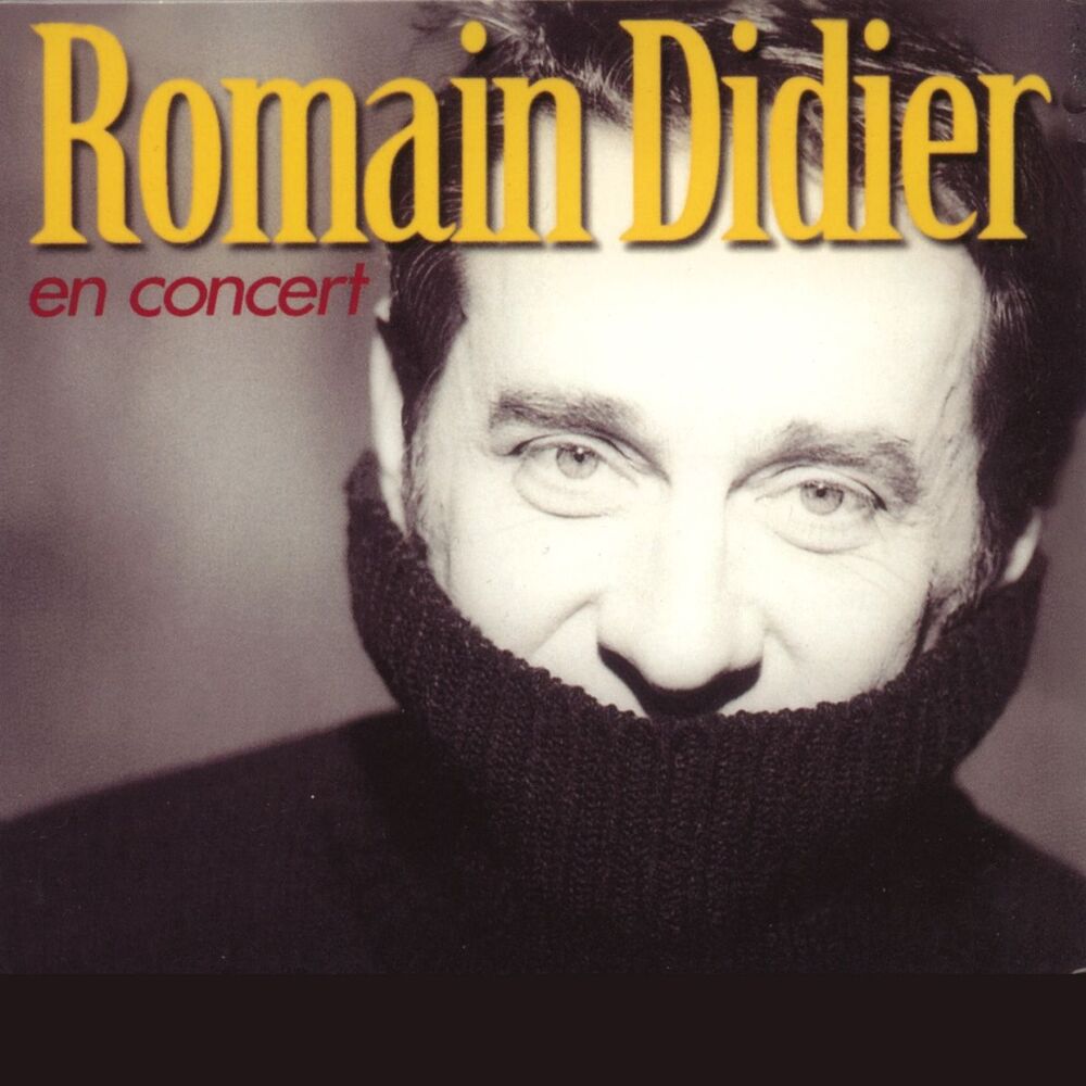 Picture of Romain Didier en concert