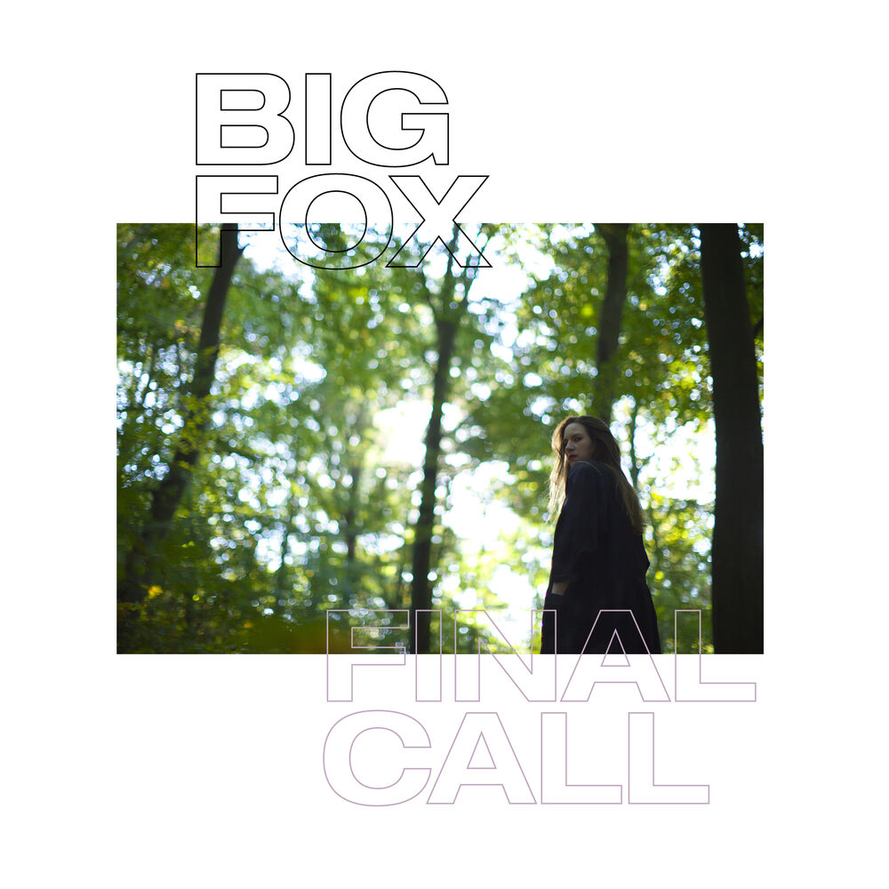 Picture of Final Call