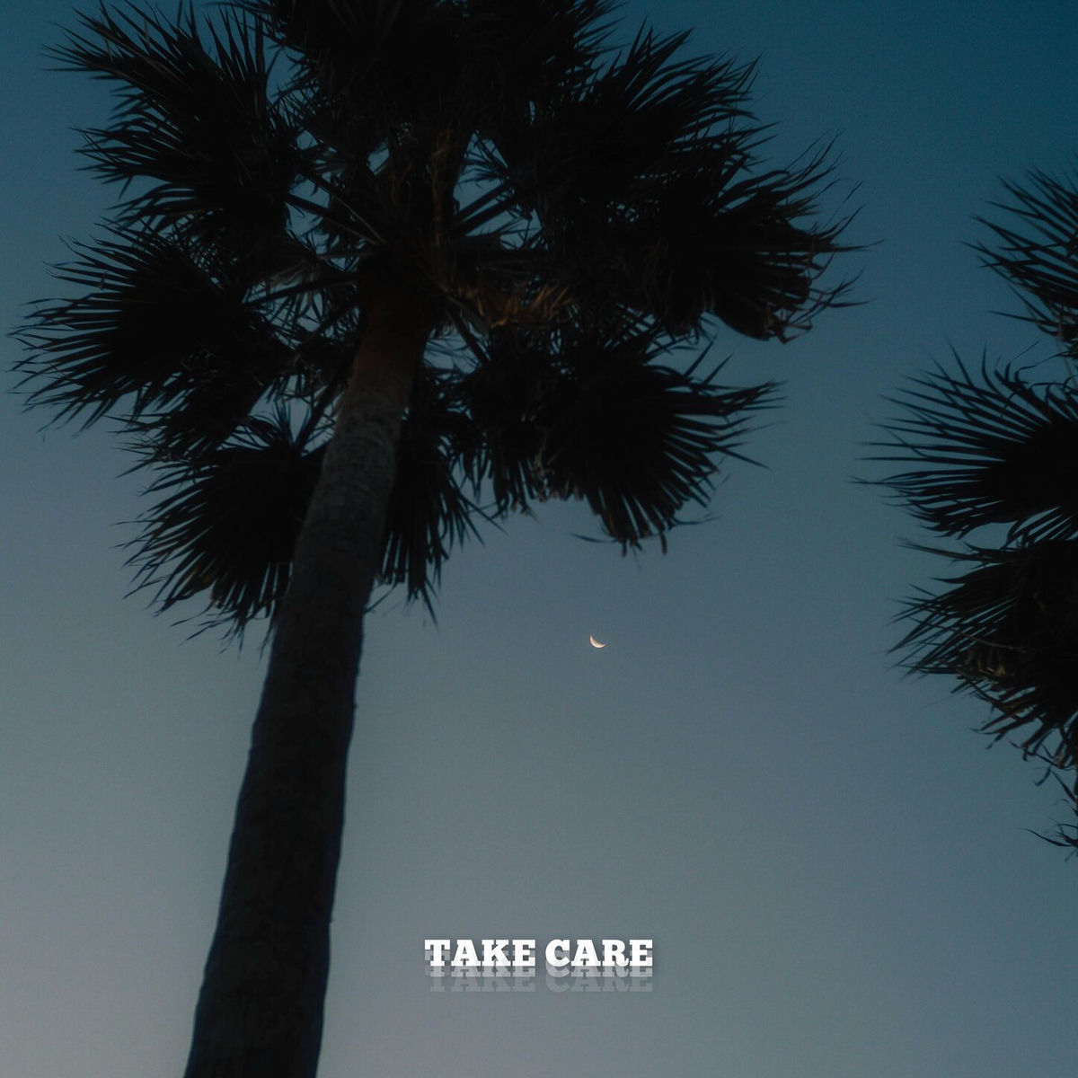 Album cover of Take care