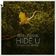 Hide U (Tinlicker Extended Remix)