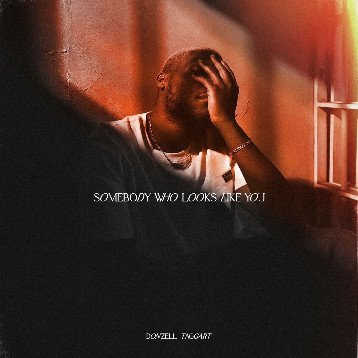 Album cover of Somebody Who Looks Like You