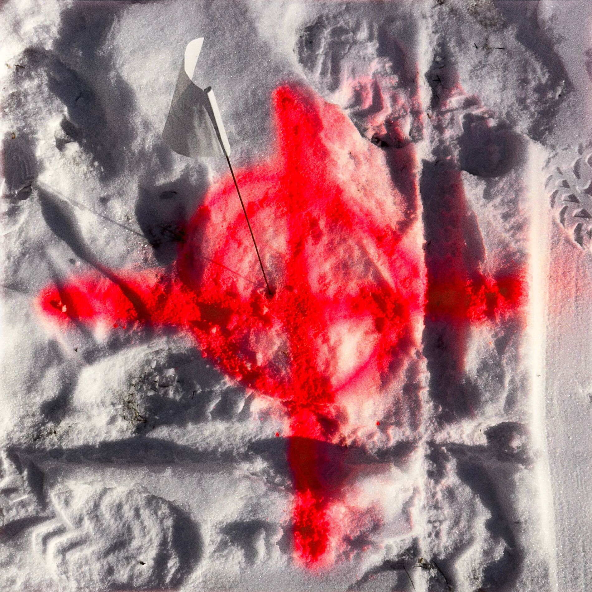 Album cover of 1st Light