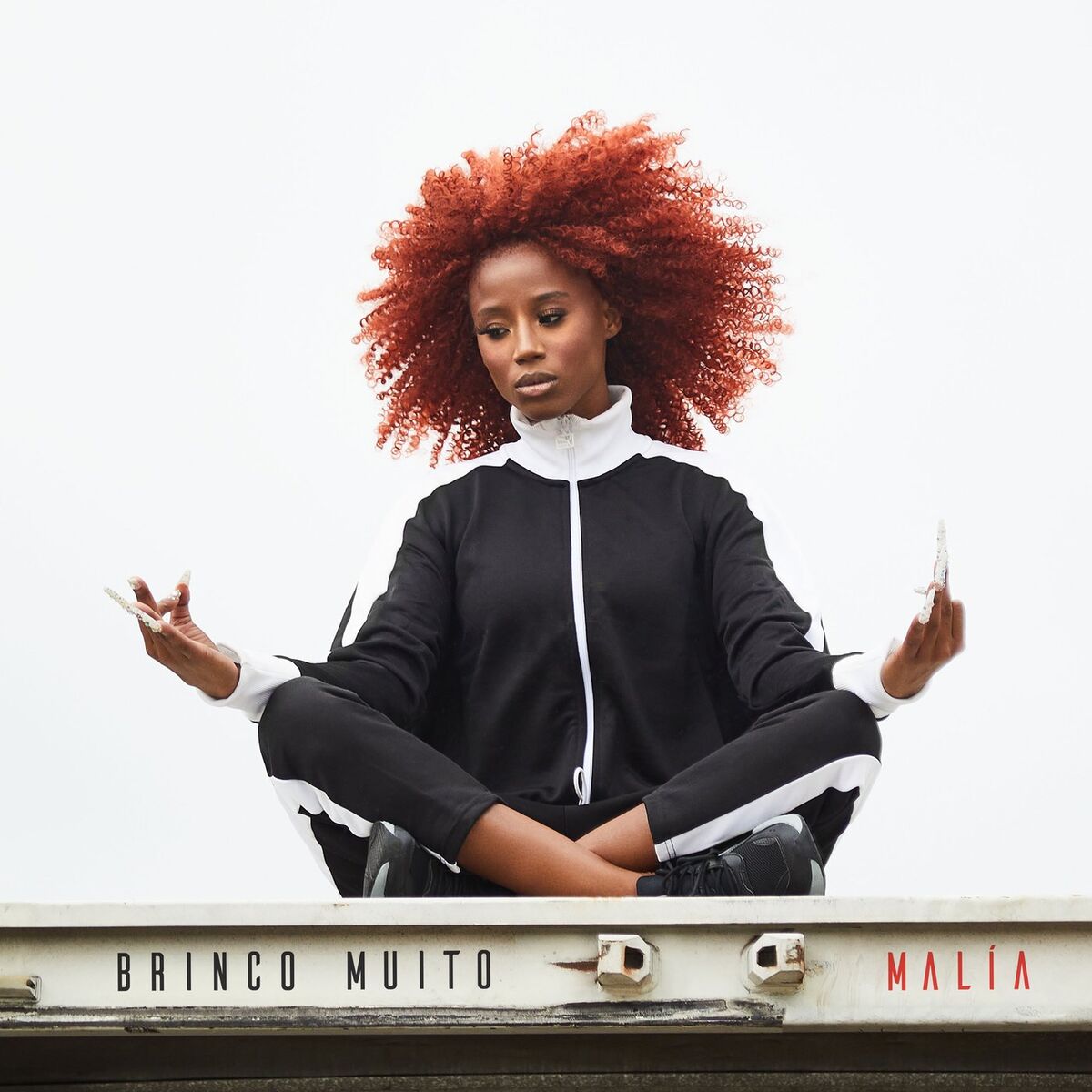 Album cover of Brinco Muito