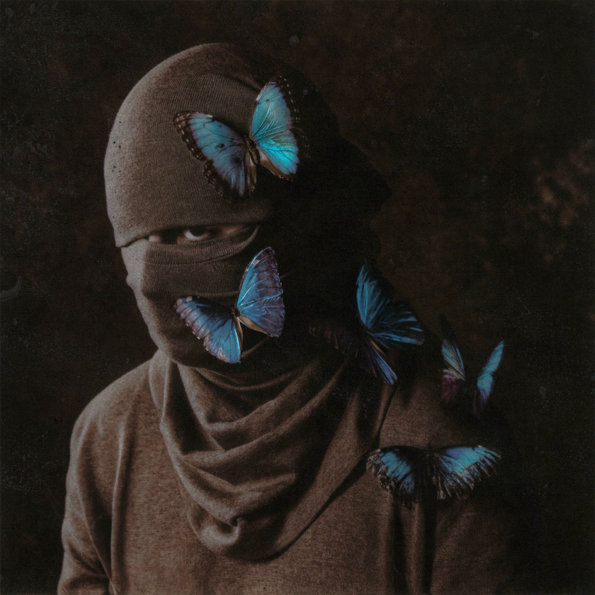 Album cover of MORPHO