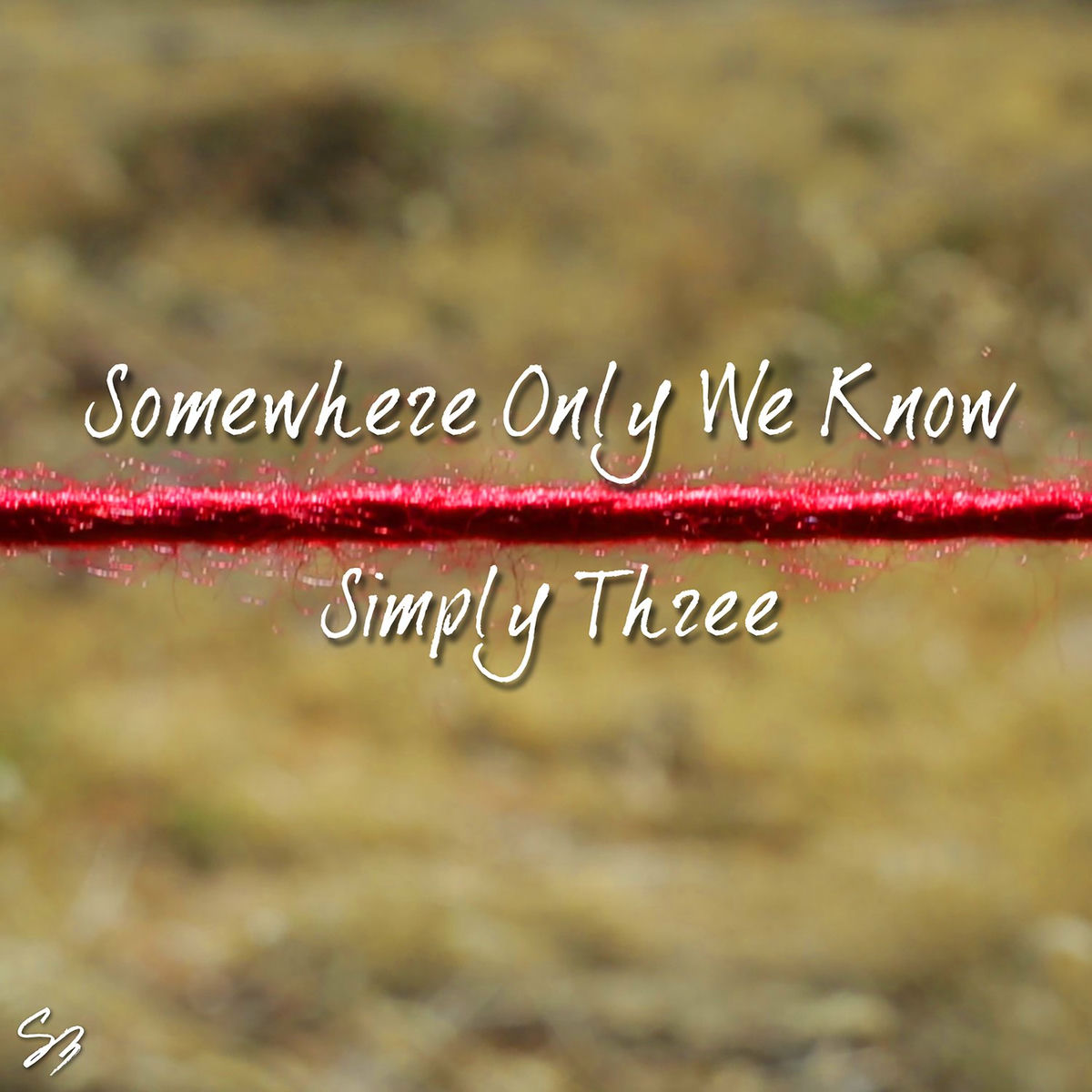 Album cover of Somewhere Only We Know