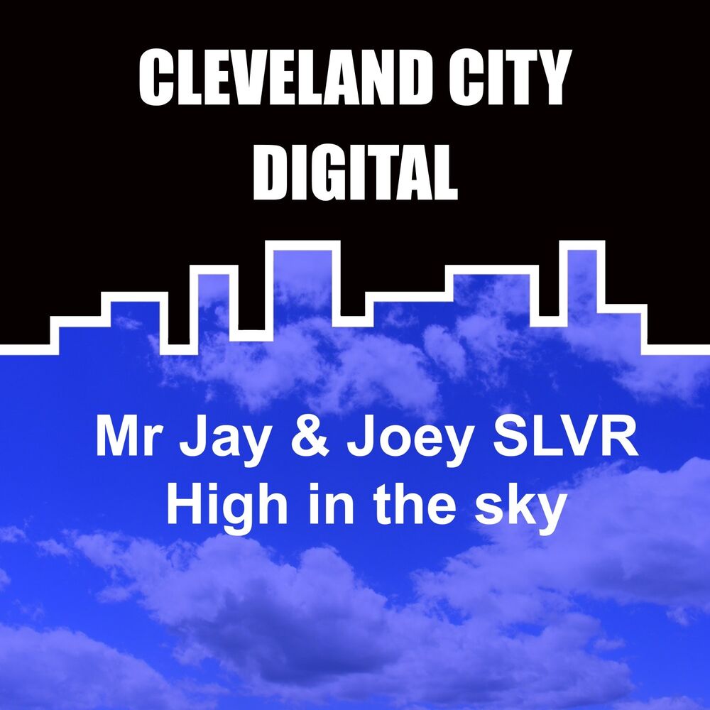 Picture of High in the Sky