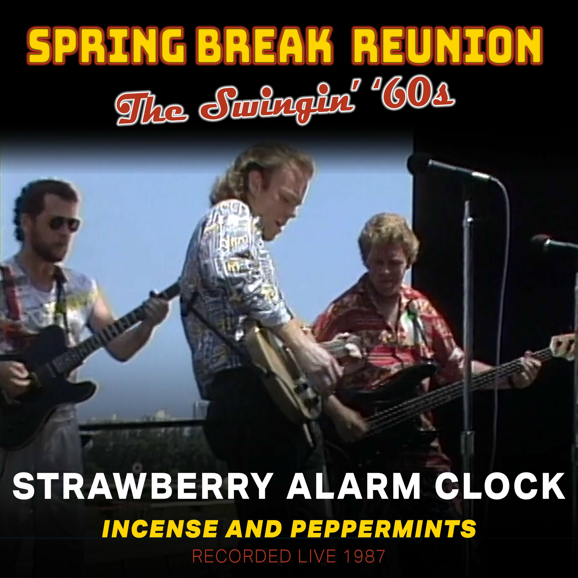 Album cover of Spring Break Reunion: The Swingin' '60s