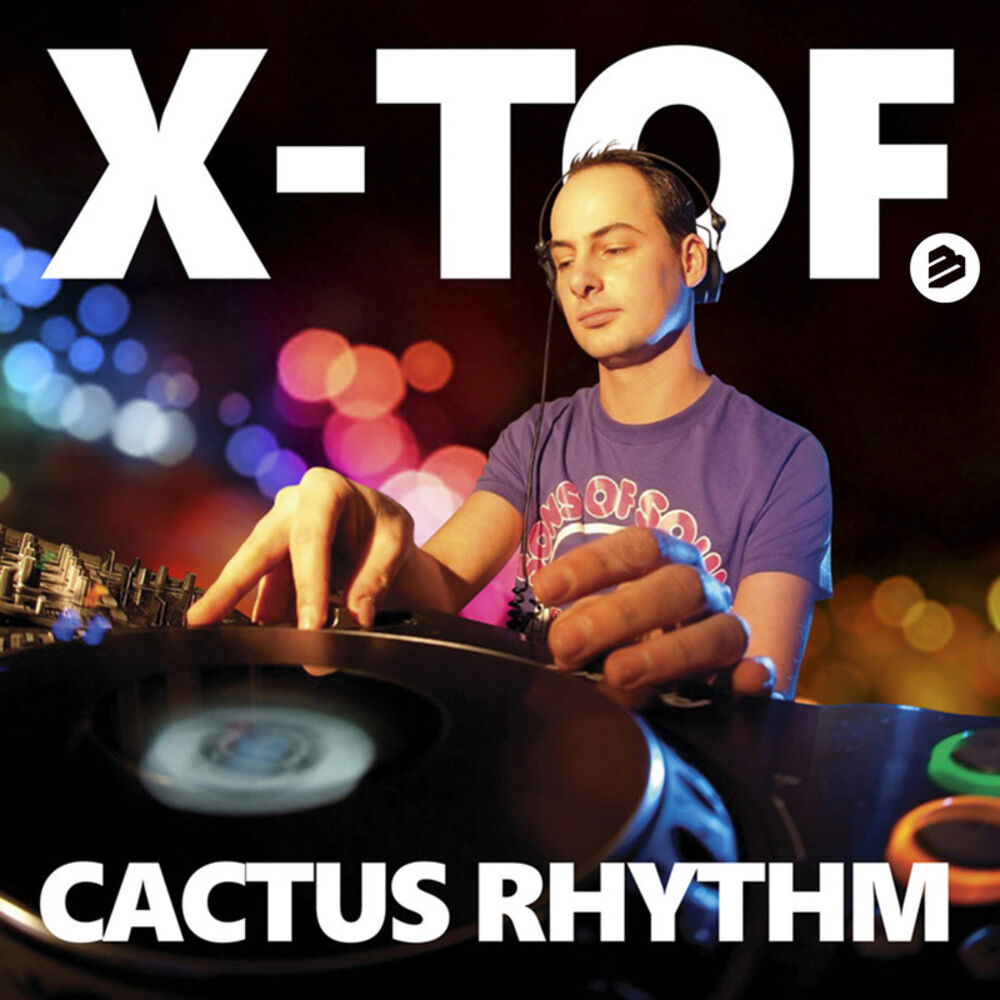 Picture of Cactus Rhythm