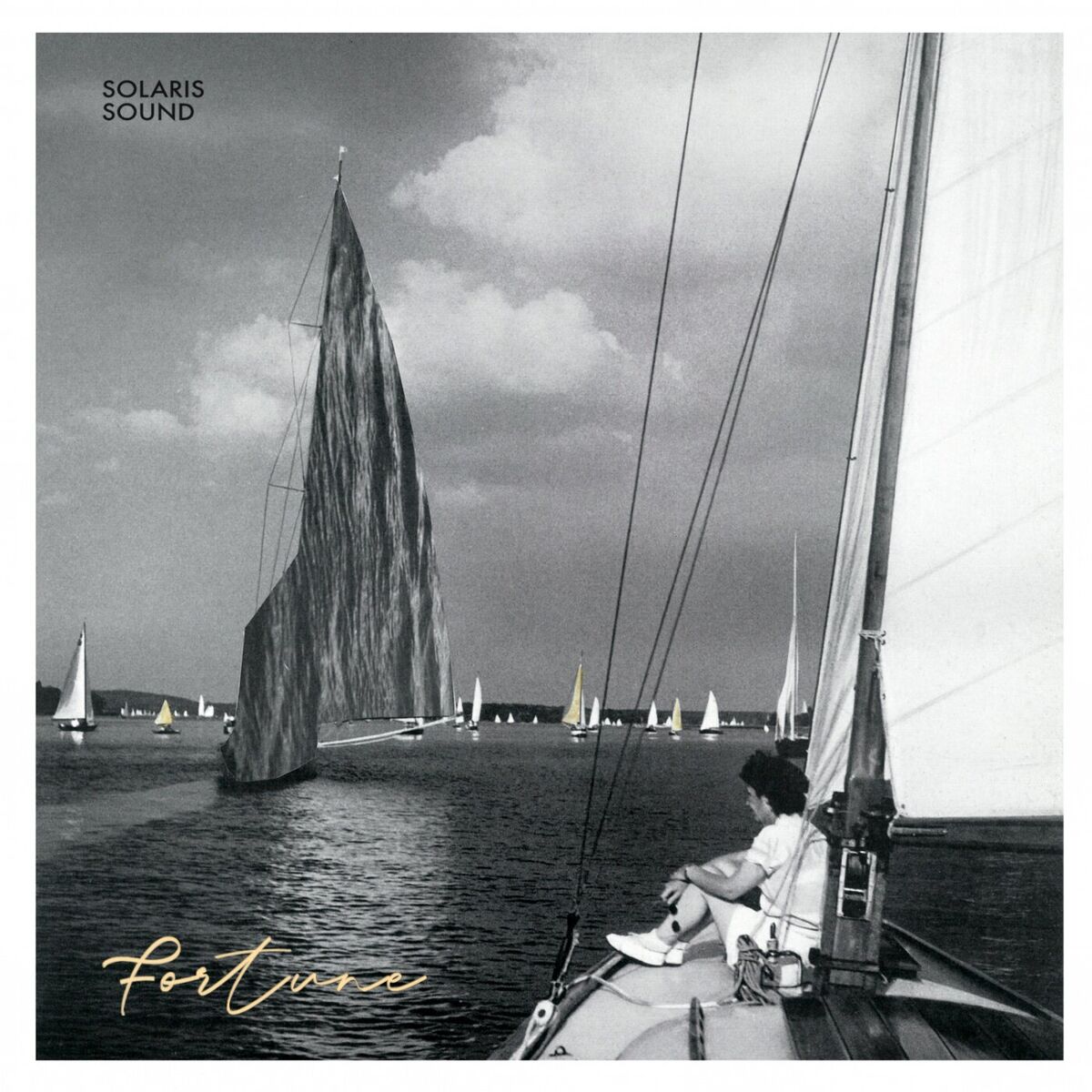 Album cover of Fortune
