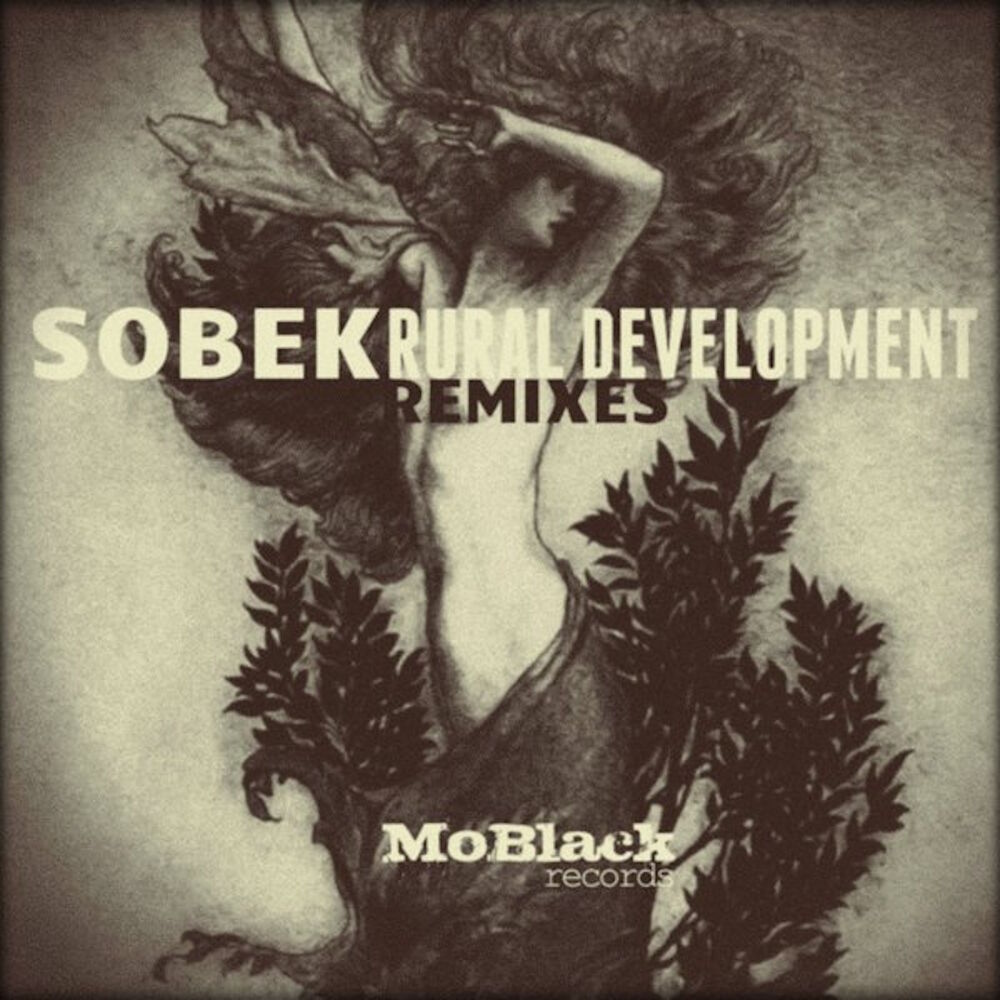 Picture of Rural Development (Remixes)