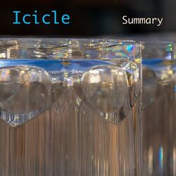 Cover of Summary