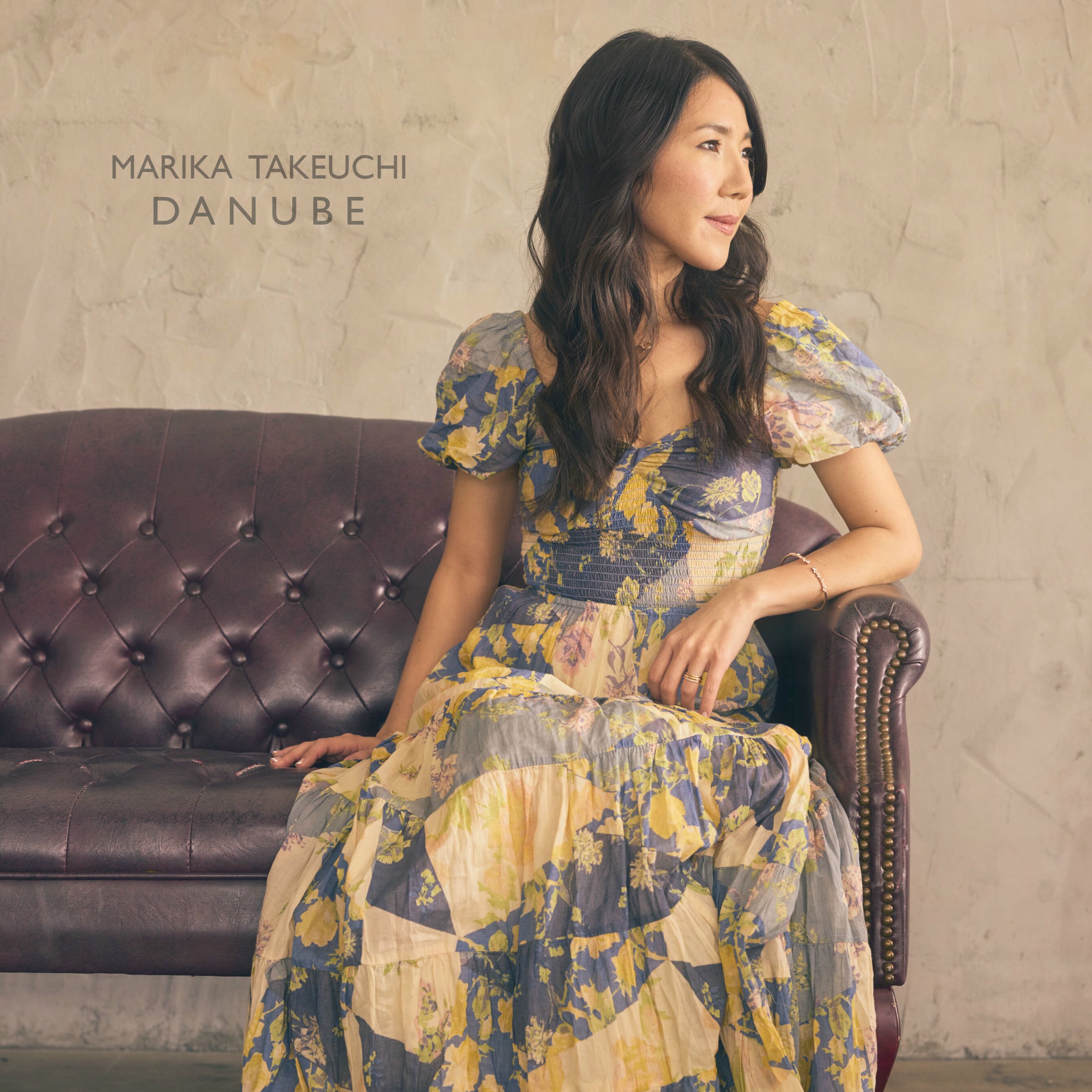 Album cover of Danube