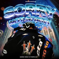 Cover of Sorry Not Sorry