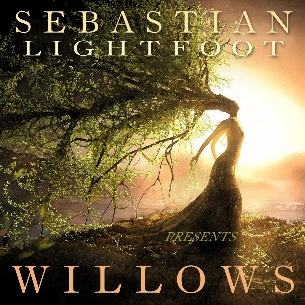 Album cover of Willows