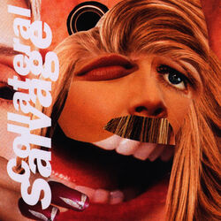 Cover of Collateral Salvage