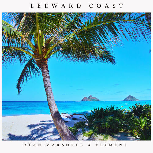 Leeward Coast sleeve