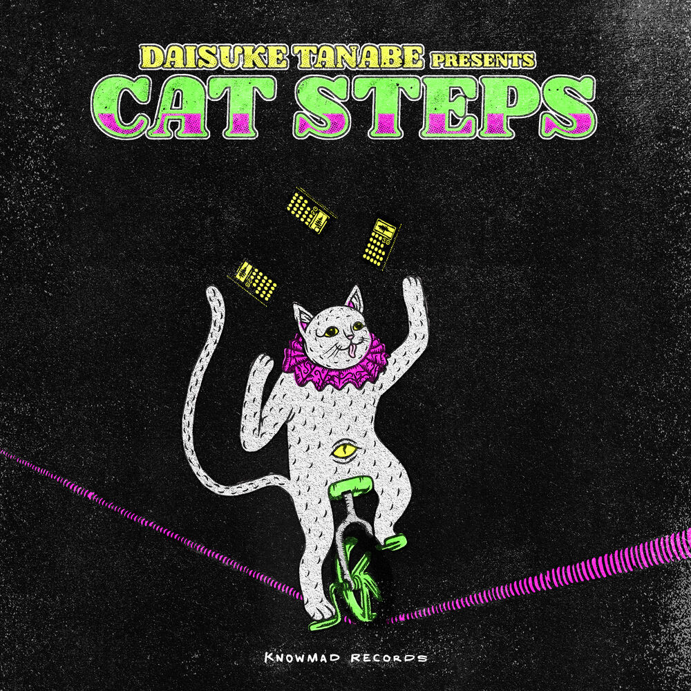 Picture of Cat Steps