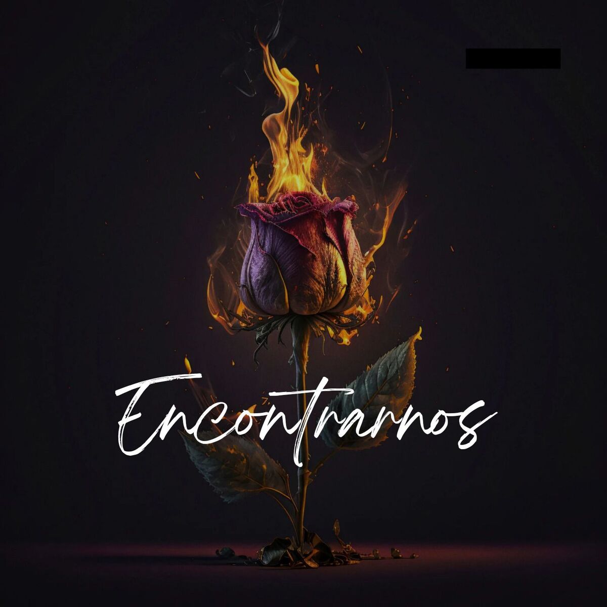 Album cover of Encontrarnos