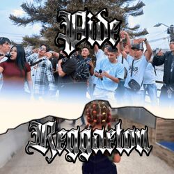 Cover of Pide Reggaeton