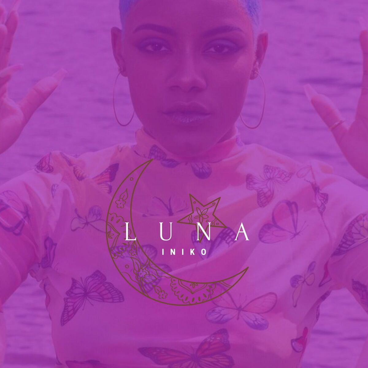 Album cover of Luna