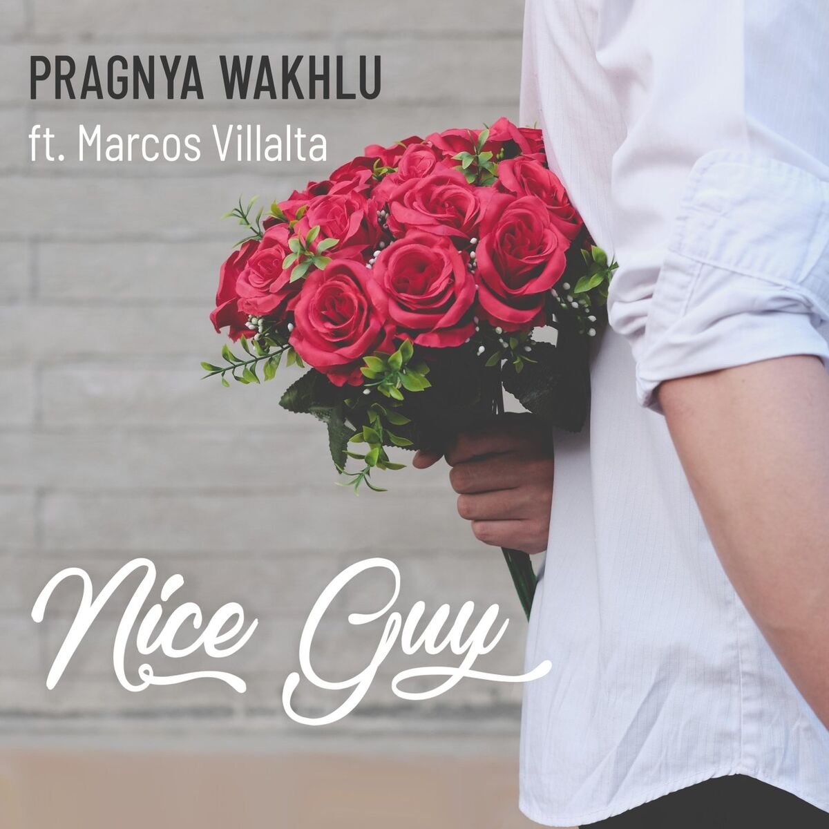 Album cover of Nice Guy