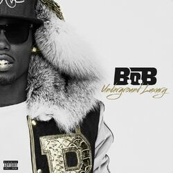 Cover of Underground Luxury