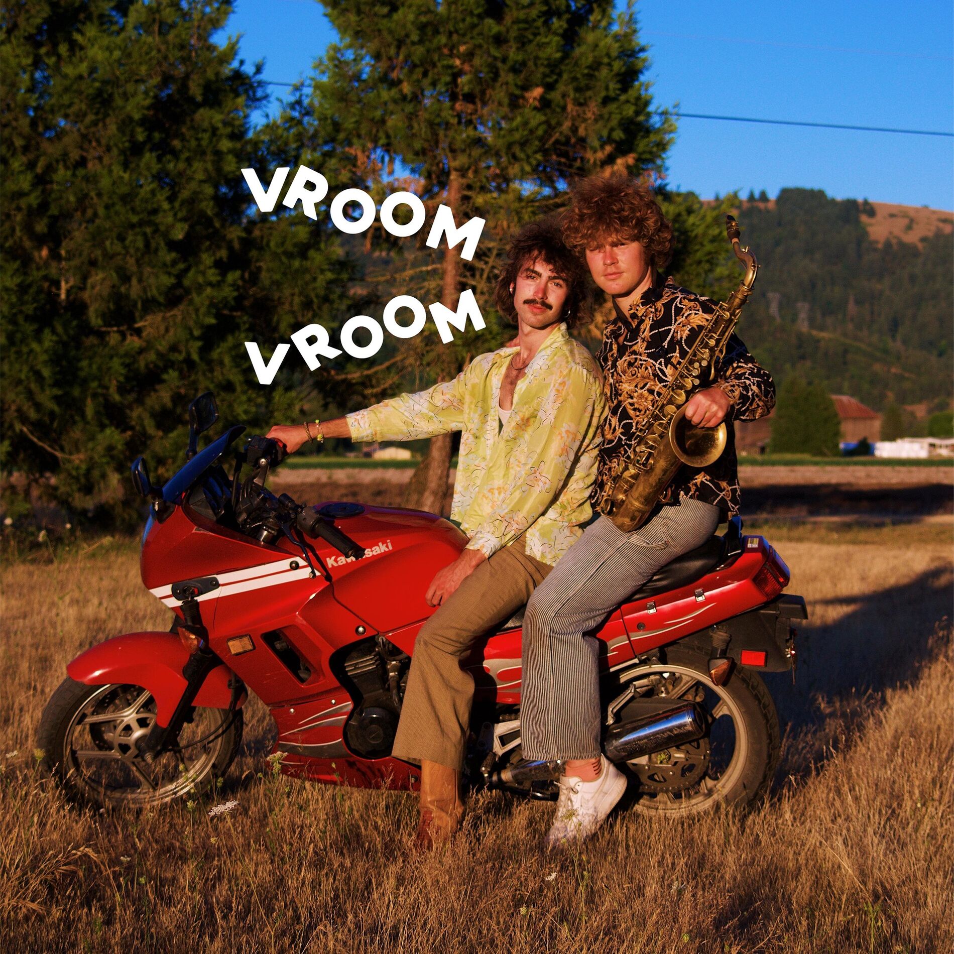 Album cover of vroom vroom