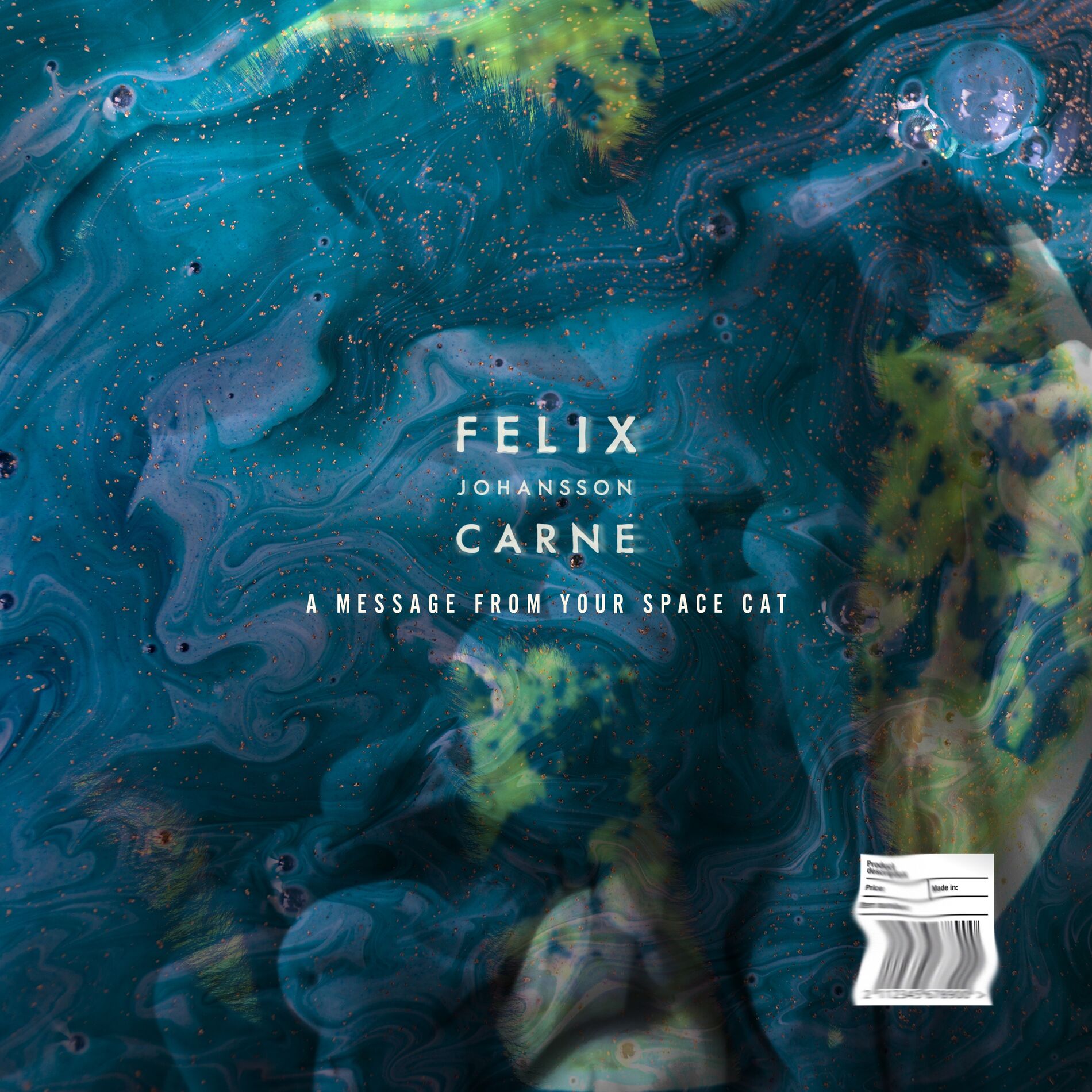 Album cover of When The Rain Came