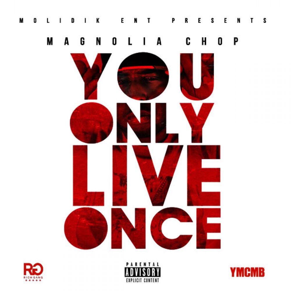 Picture of Y.O.L.O. (You Only Live Once)