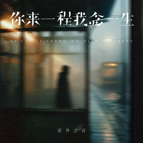 你来一程我念一生