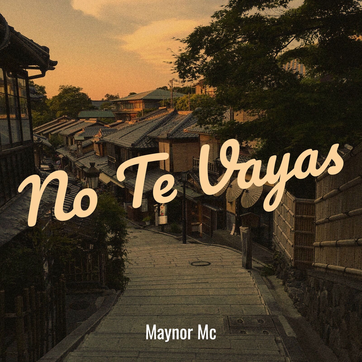 Album cover of No Te Vayas