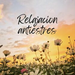 Cover of Relajacion antiestres