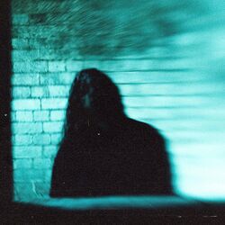 Cover of White Noise