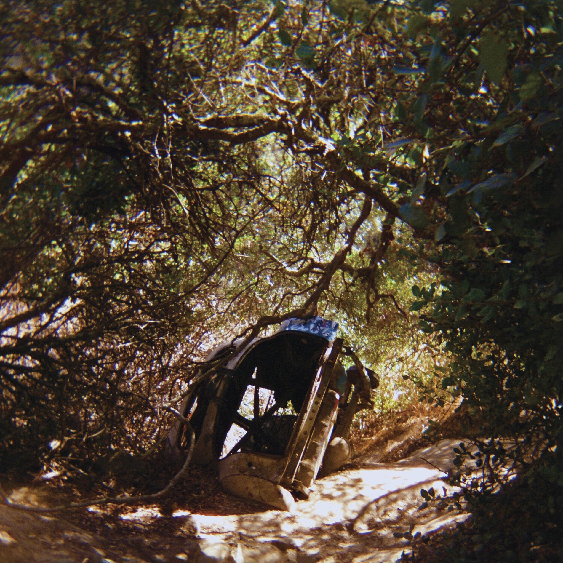 Album cover of Fantastic Tomb