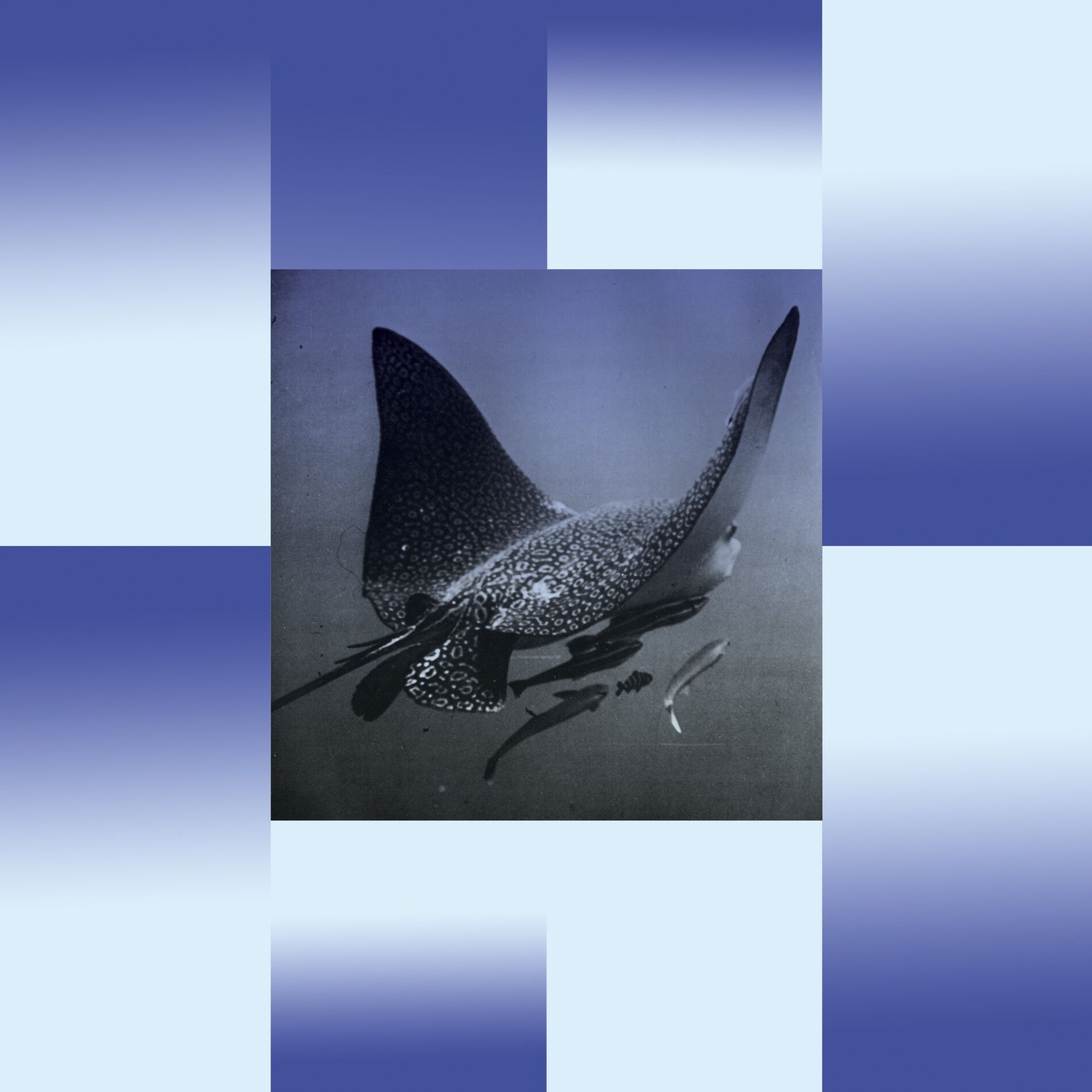 Album cover of H2O