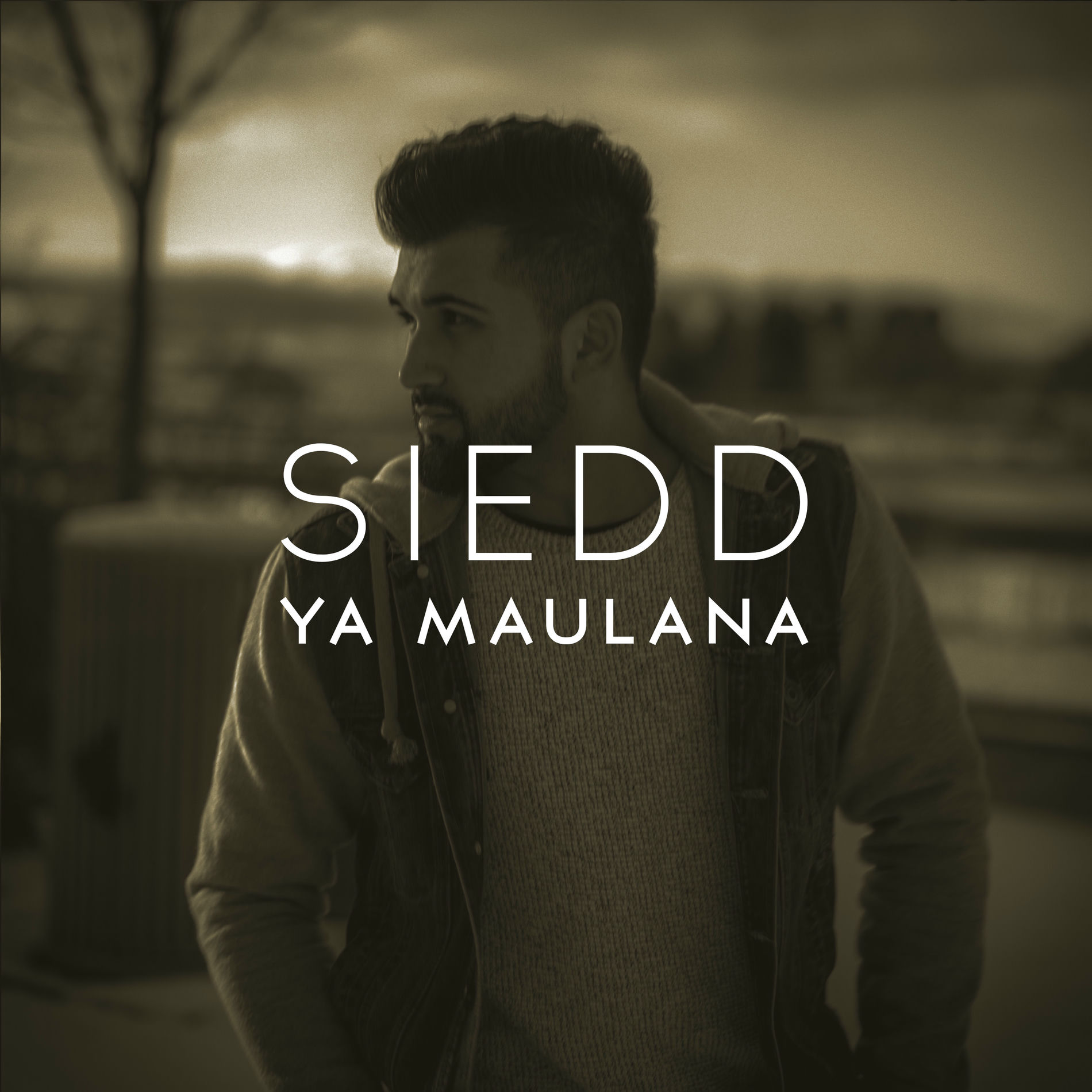 Album cover of Ya Maulana