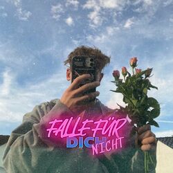 Cover of Falle Für Dich Nicht