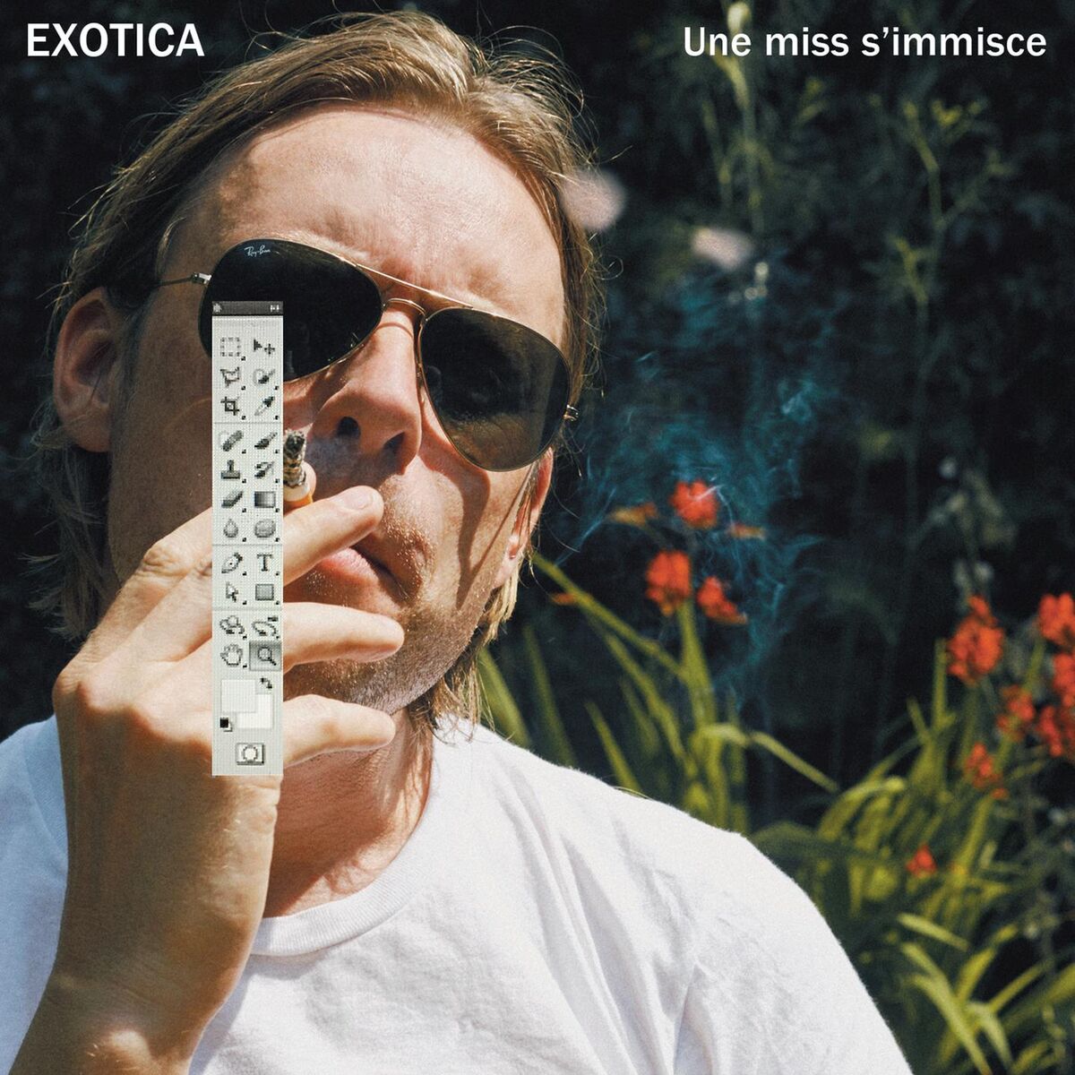 Album cover of Une miss s'immisce