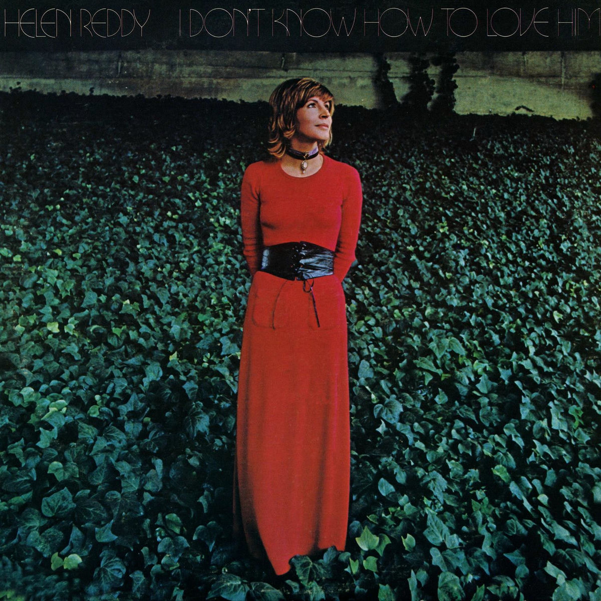 Album cover of I Don't Know How To Love Him