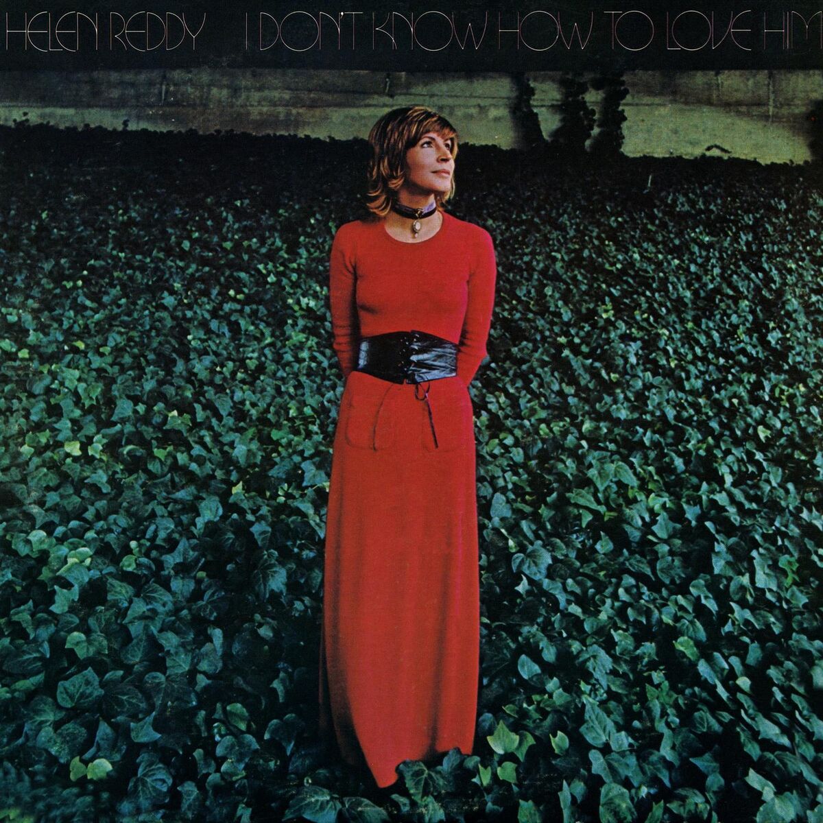Album cover of I Don't Know How To Love Him