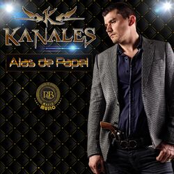 Cover of Alas de Papel